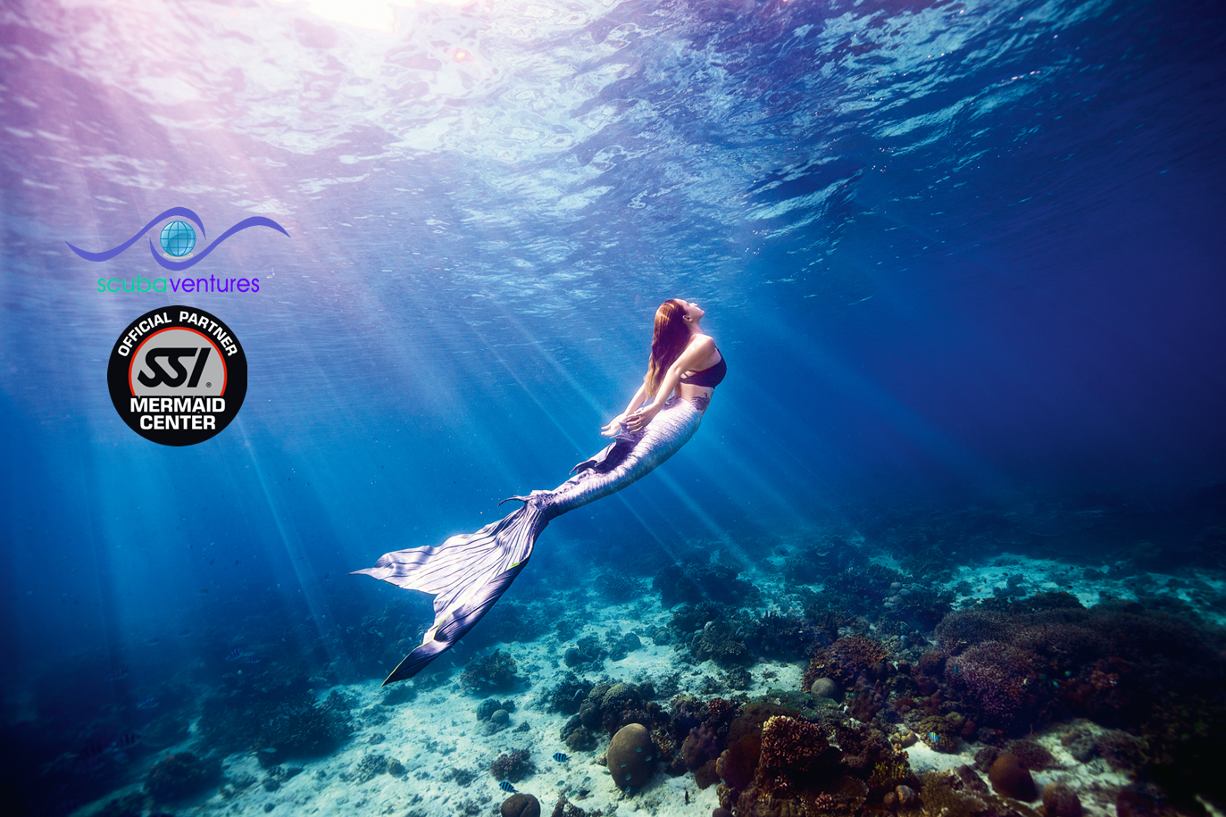 You are currently viewing SSI Ocean Mermaid Certification Course